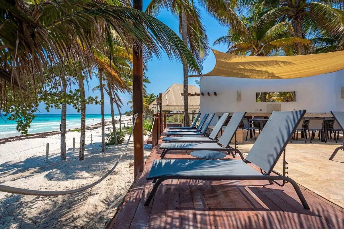 Villa Asisi, Luxury Beachfront In Xpu-Ha Haven
